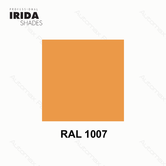 SPRAY IRIDA RAL 1007