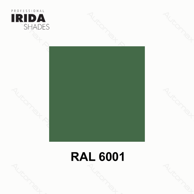 SPRAY IRIDA RAL 6001