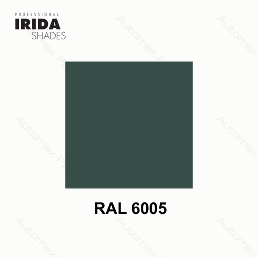 SPRAY IRIDA RAL 6005