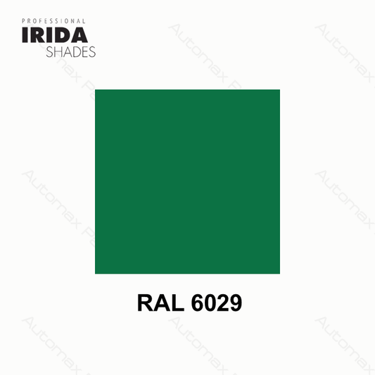 SPRAY IRIDA RAL 6029